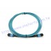 MPO-MPO-08-XX  8芯MPO萬兆光纖跳線 40G MPO- MPO 光纖跳線 MOP萬兆光纖跳線 QSFP SR4 40G mpo光纖跳線 歡迎客製